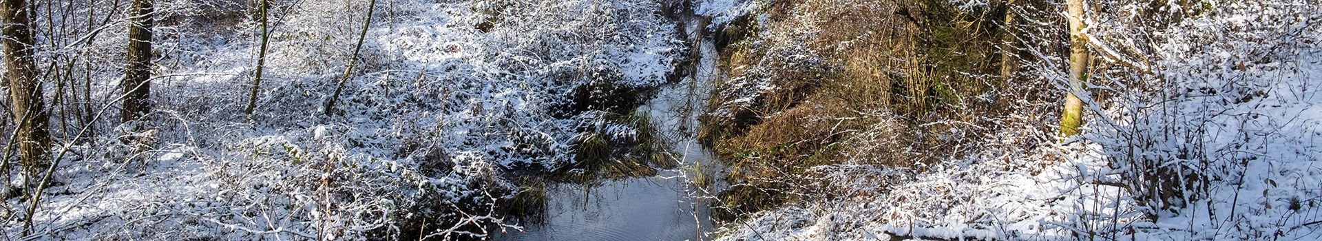 Konsequent ökologisch