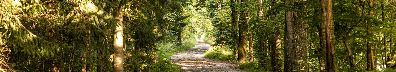 Konsequent ökologisch